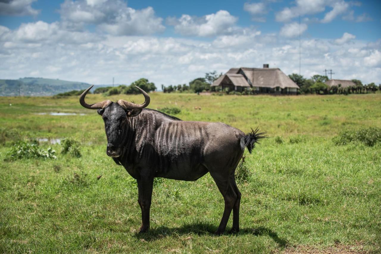 Tala Collection Game Reserve Silverton ภายนอก รูปภาพ