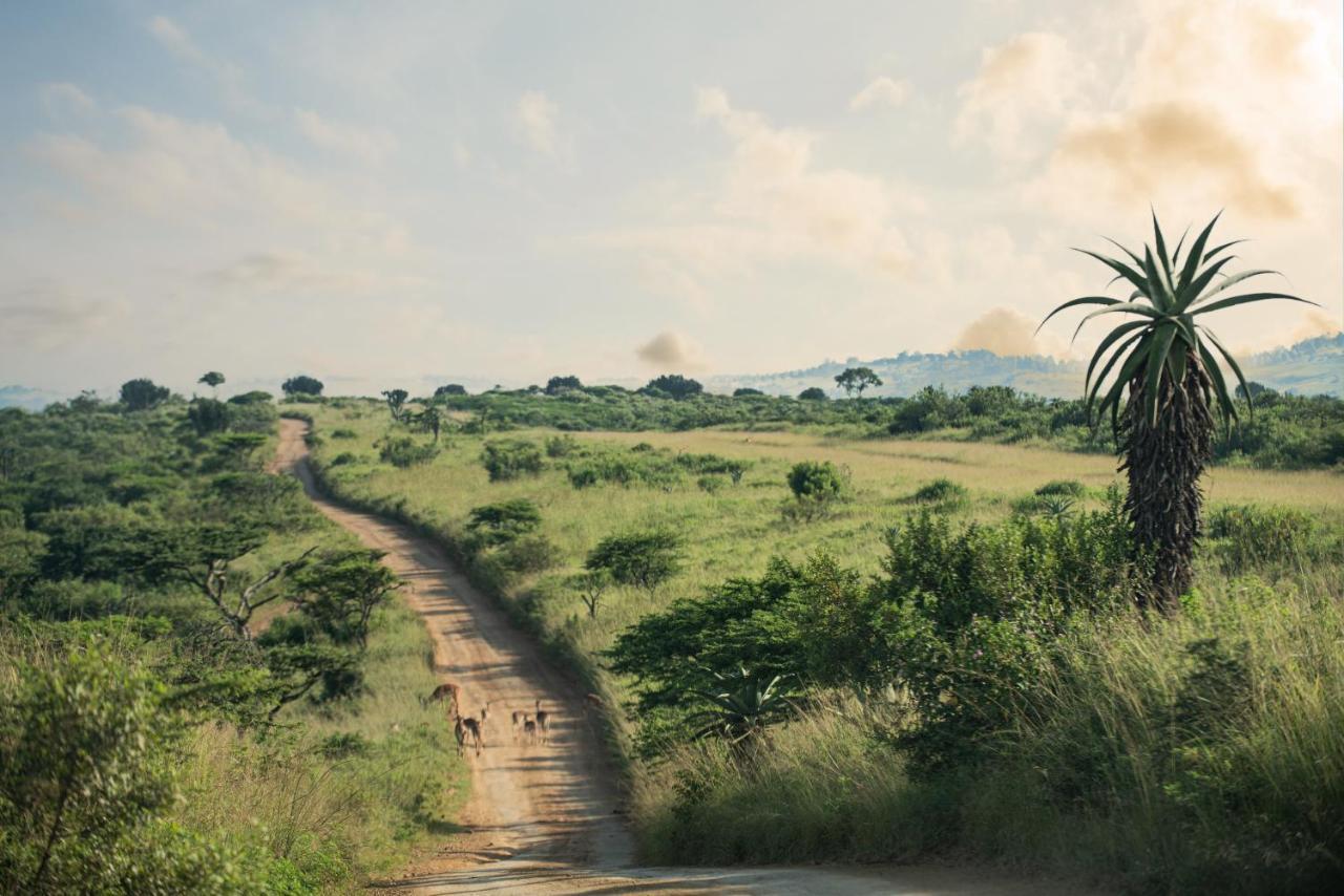 Tala Collection Game Reserve Silverton ภายนอก รูปภาพ