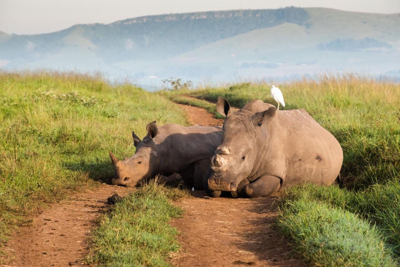 Tala Collection Game Reserve Silverton ภายนอก รูปภาพ