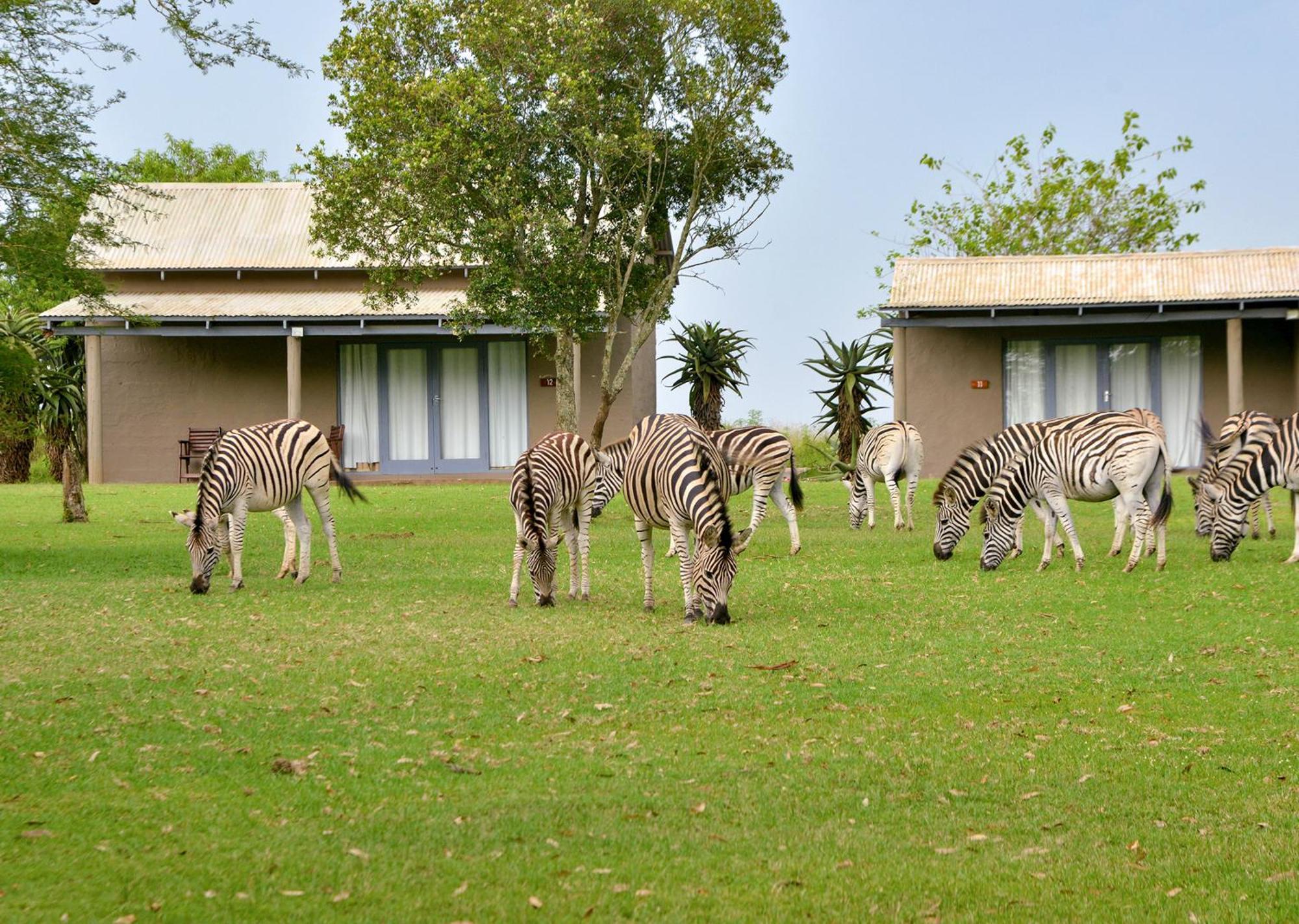 Tala Collection Game Reserve Silverton ภายนอก รูปภาพ